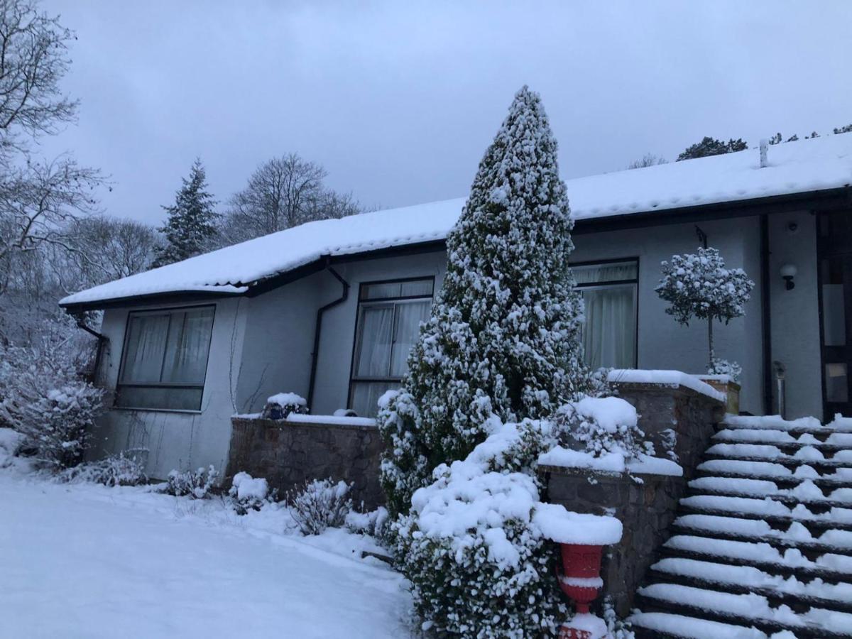 Villacai Nailsea Luaran gambar